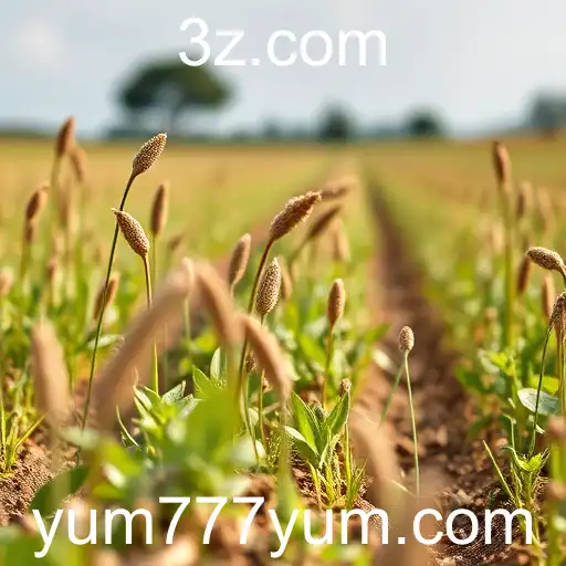 Avanços Tecnológicos Impulsionam o Setor Alimentar em 2025